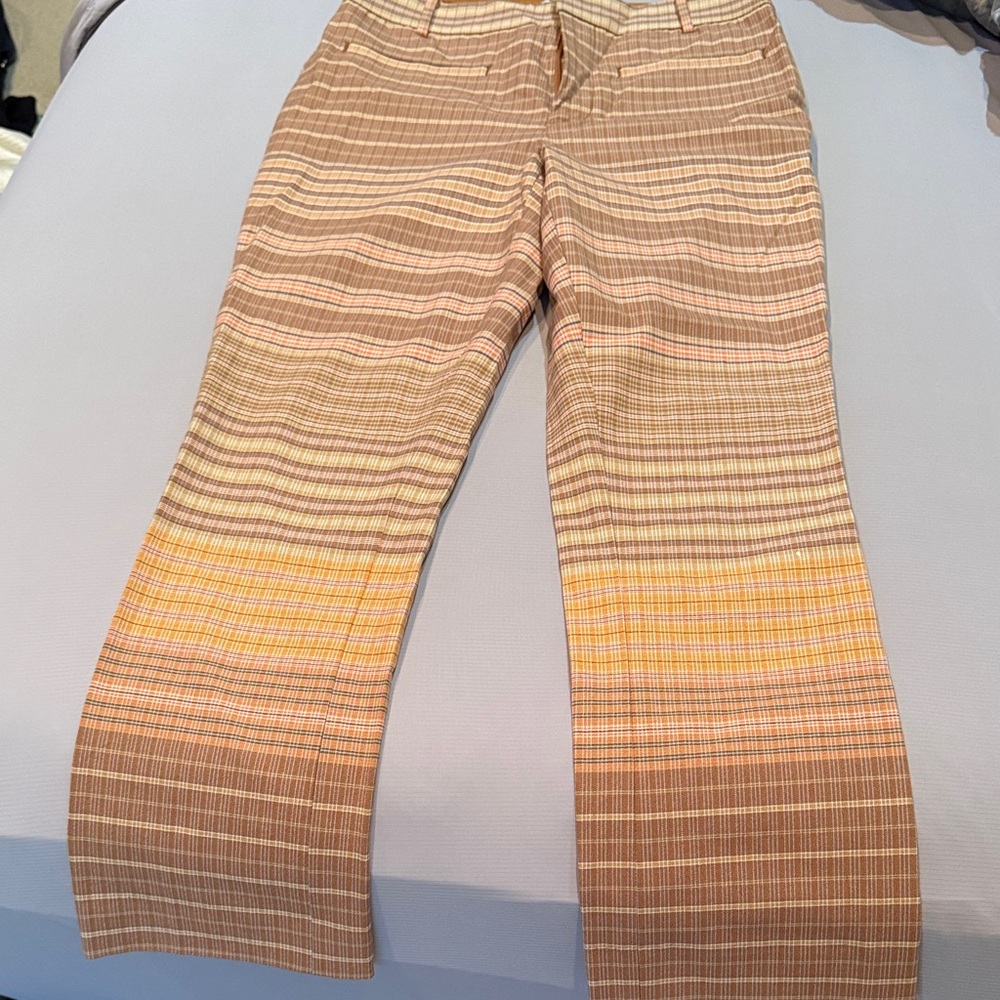 Striped Pants with front zipper and hook closure.